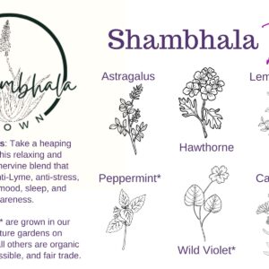 Shambhala Tea