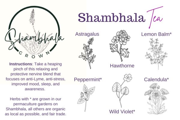 Shambhala Tea