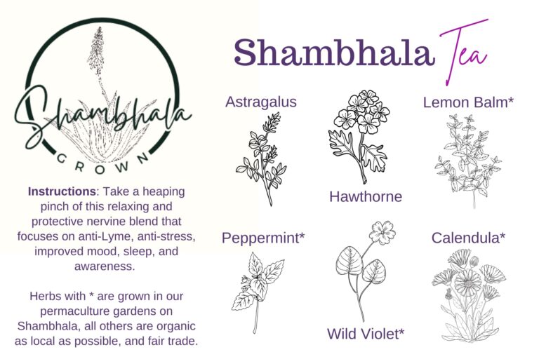 Shambhala Tea